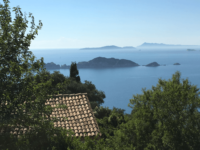 2772b48dcd721fe346554e3976682054