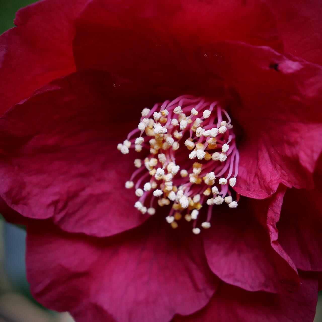 395b9543ab533a4666d278c8eb7138bb