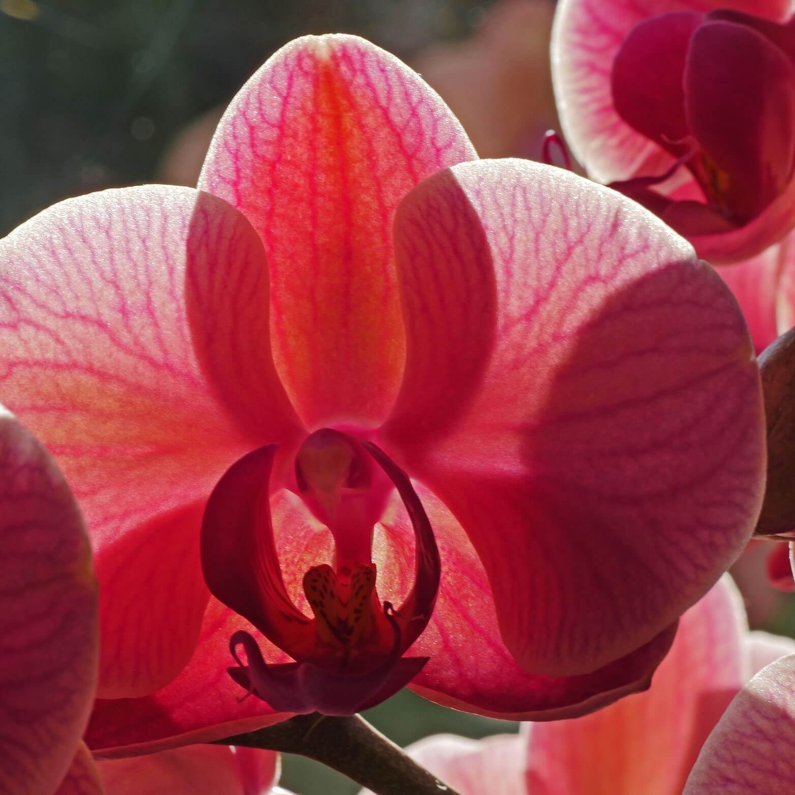 40c07883341ee9d1fd7137bd1b3d68fb