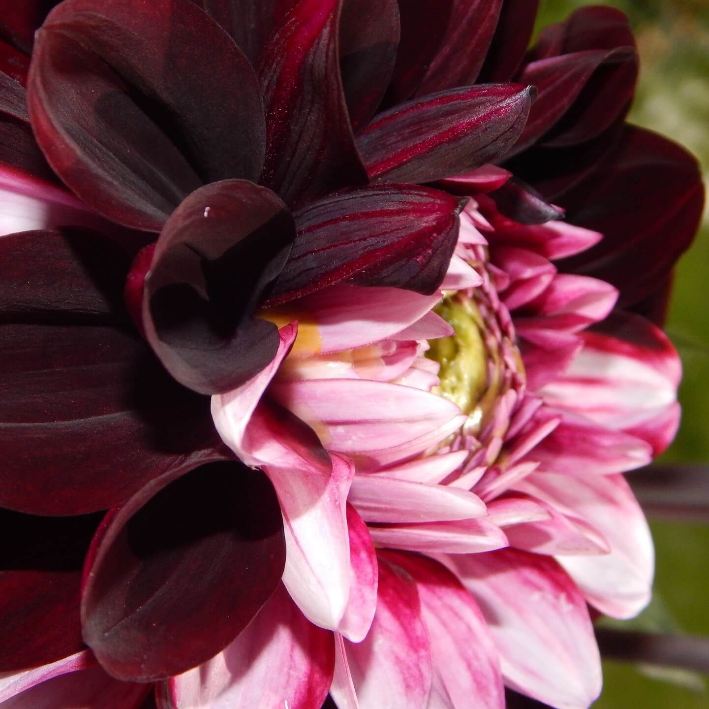 66446a03f3cc2fab4e8c9d4fe28cce9f