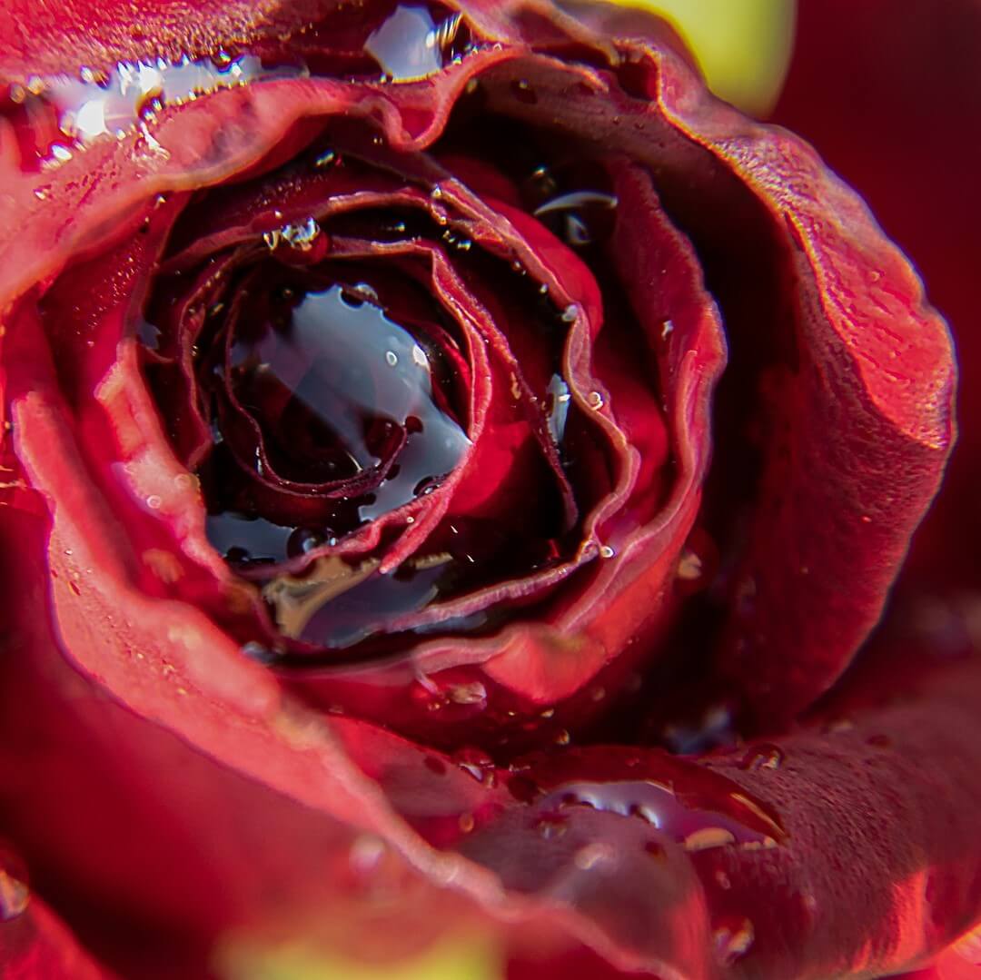 7cbe13b43c6d277d19243d6f44a846bf