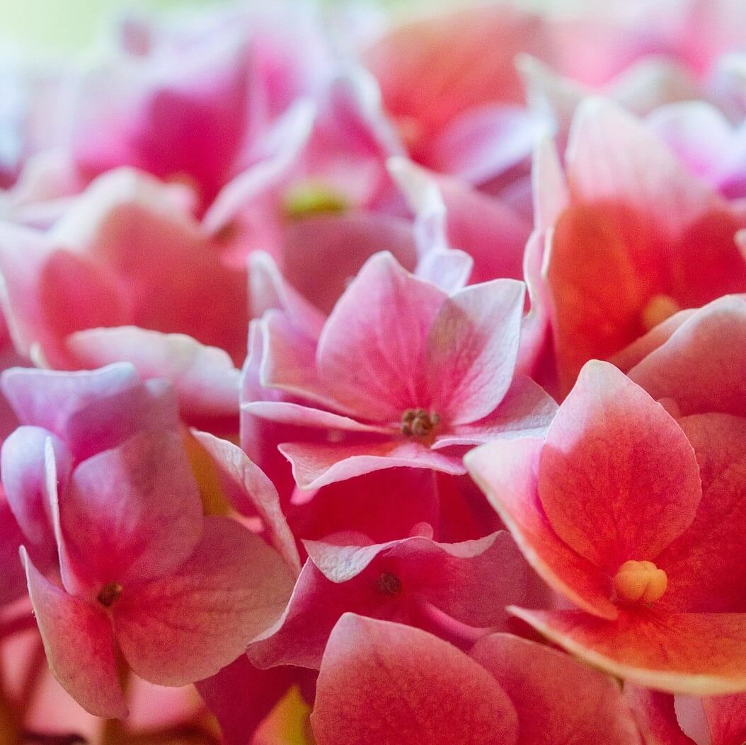 a688dc008cfa03e6d4783f51c43570de