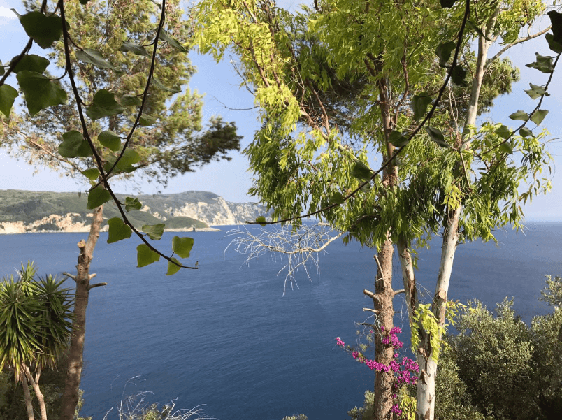 e5fd17d5b52ab0b526dd2257de44fba0